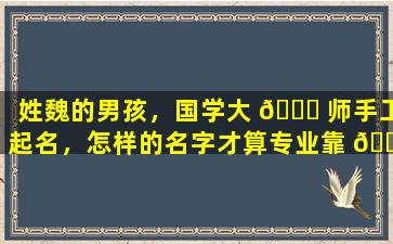 姓魏的男孩，国学大 🐕 师手工起名，怎样的名字才算专业靠 🌼 谱